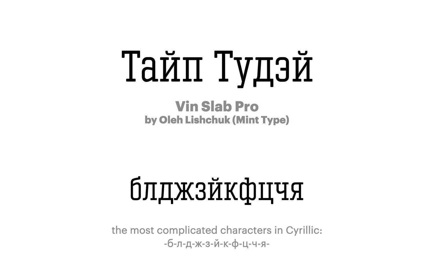 Vin-Slab-Pro-by-Oleh-Lishchuk-(Mint-Type)